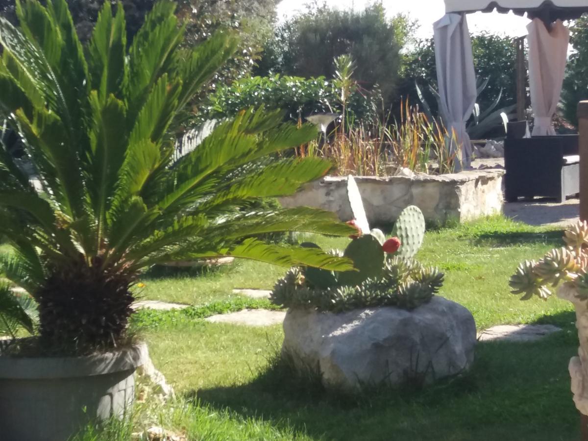 Villa Trullicolarossa à Alberobello Extérieur photo
